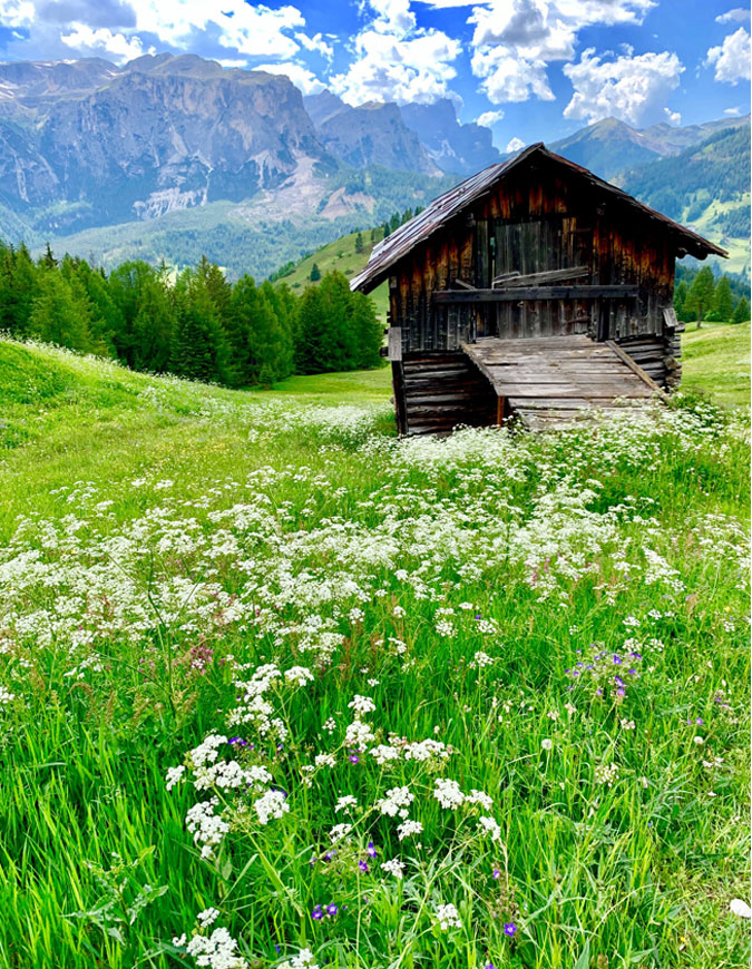 rosa alpina hotel dolomites italy